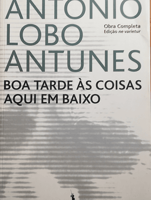 Boa Tarde às Coisas Aqui em Baixo