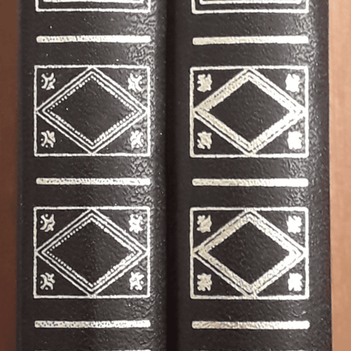 O Vermelho e o Negro - 2 Volumes 1