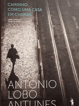 Caminho Como Uma Casa em Chamas