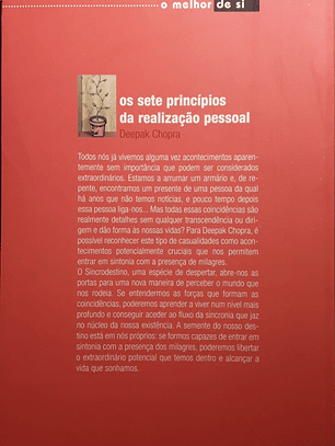 Os Sete Princípios da Realização Pessoal