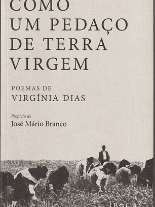 Como um Pedaço de Terra Virgem