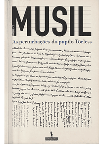As Perturbações do Pupilo Törless