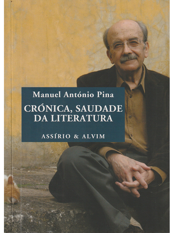 Crónica, Saudade da Literatura