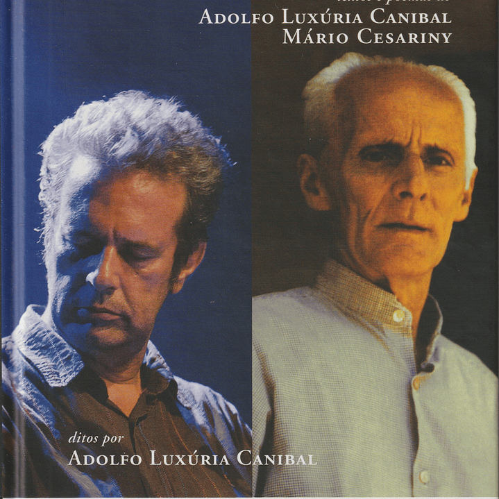 Estilhaços e Cesariny 1