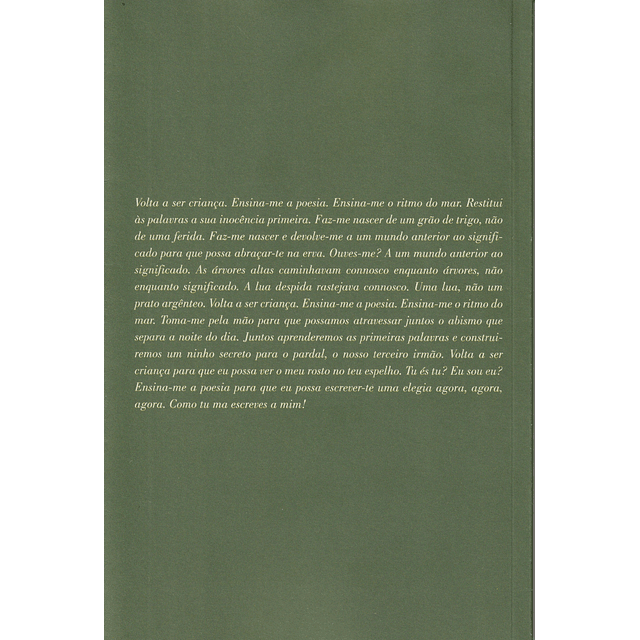 Na Presença da Ausência