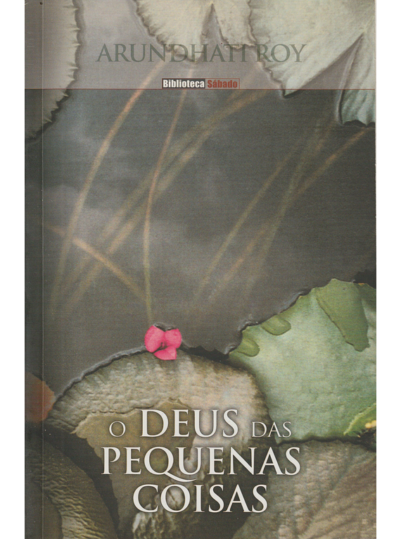 O Deus das Pequenas Coisas