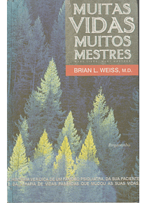 Muitas Vidas, Muitos Mestres