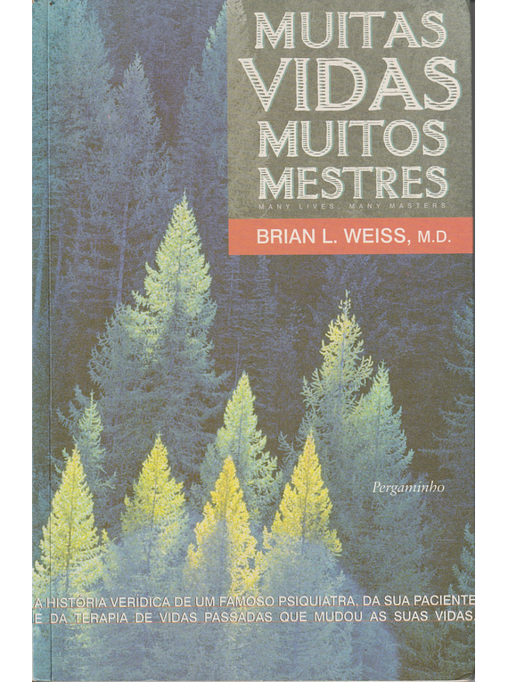 Muitas Vidas, Muitos Mestres