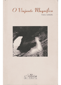 O Viajante Magnífico