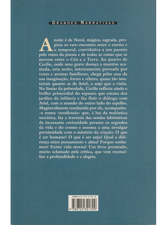 O Enigma e o Espelho