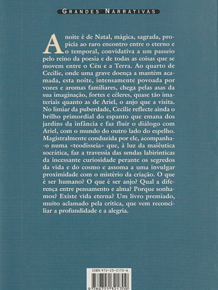 O Enigma e o Espelho