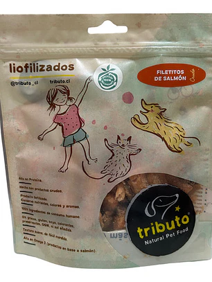 Tributo Filetes De Salmon Crudos Liofilizados 100grs