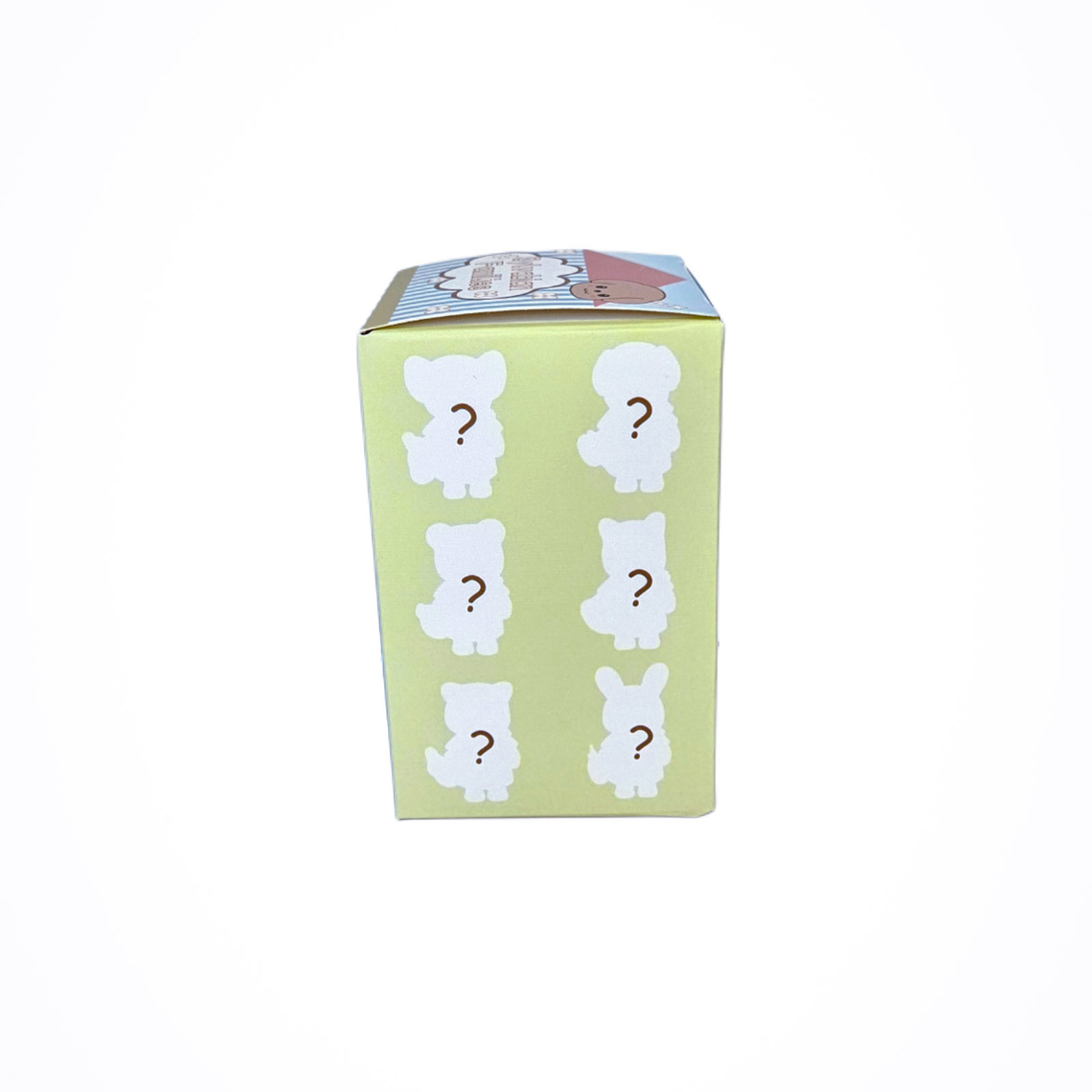 sorpresa dreamy Musicos 3