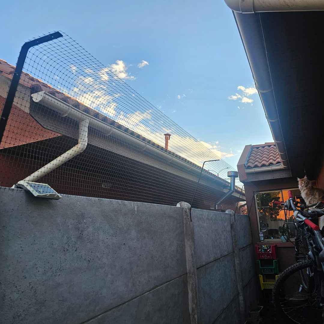 Antiescape para Gatos  2