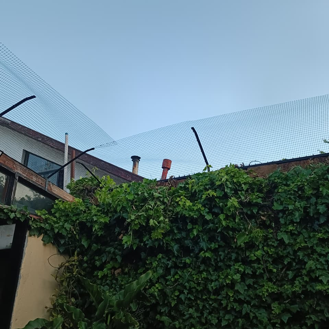 Antiescape para Gatos  8