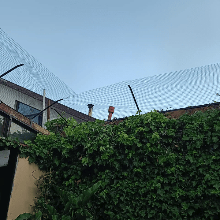 Antiescape para Gatos  8