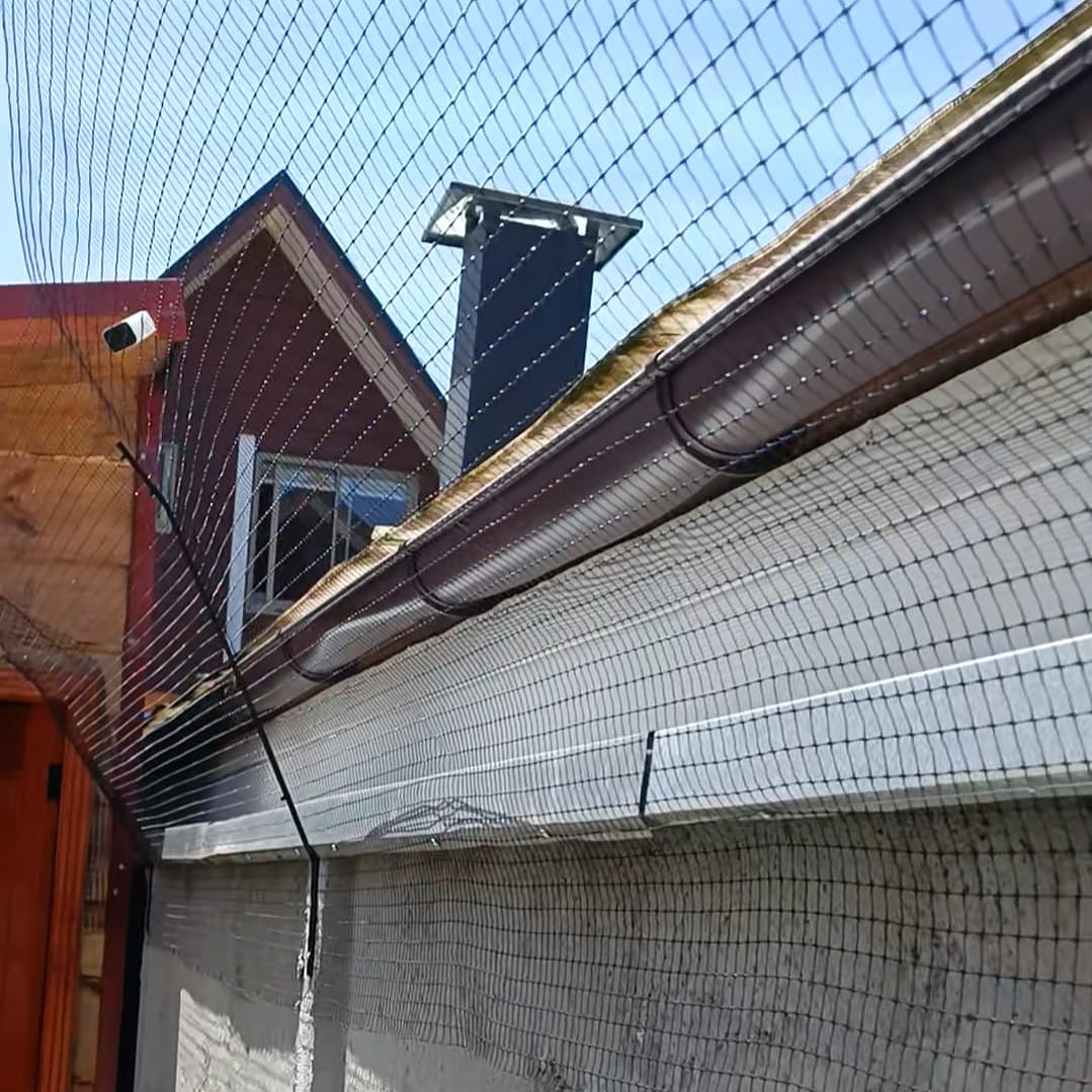 Antiescape para Gatos  9