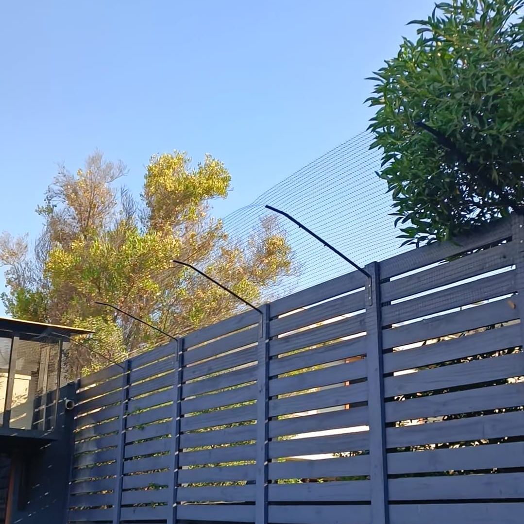 Antiescape para Gatos  7