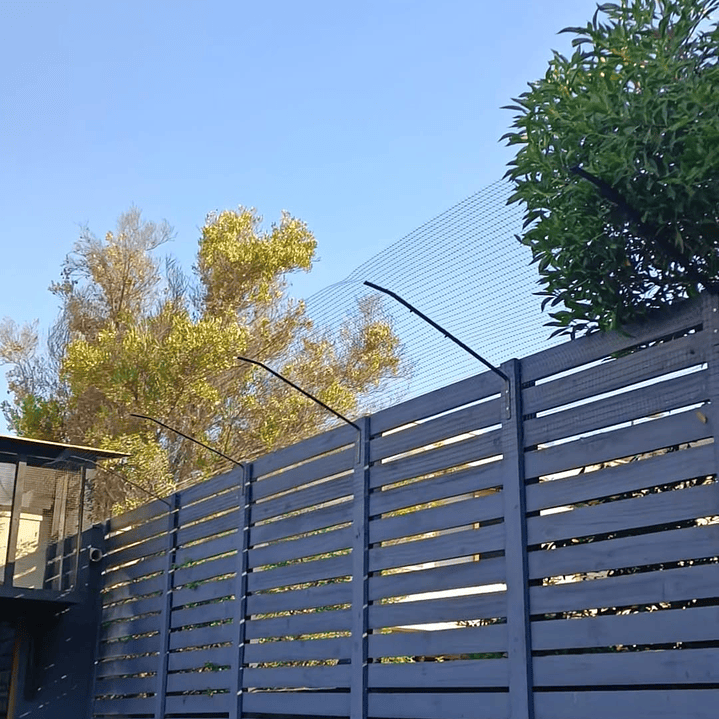 Antiescape para Gatos  7