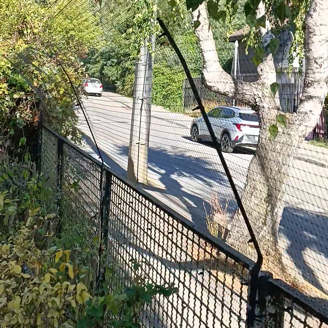 Antiescape para Gatos  10