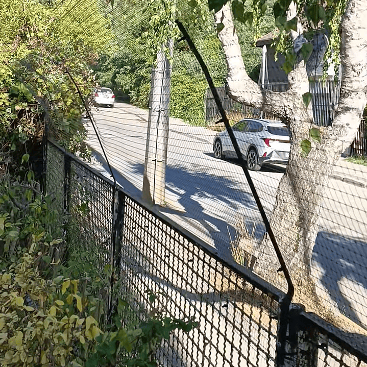 Antiescape para Gatos  10