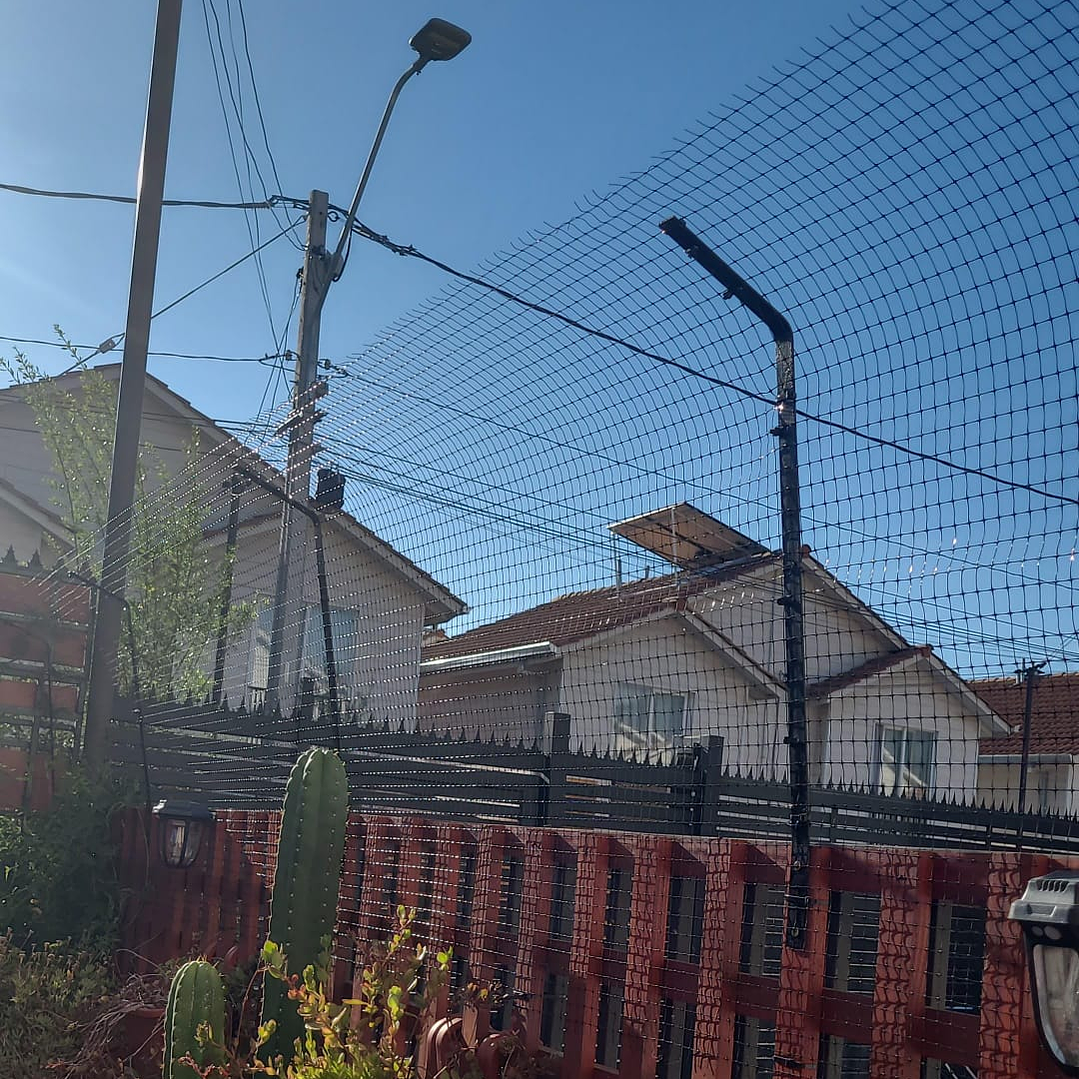 Antiescape para Gatos  11