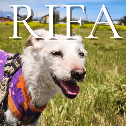 Rifa ayuda a Blanquita