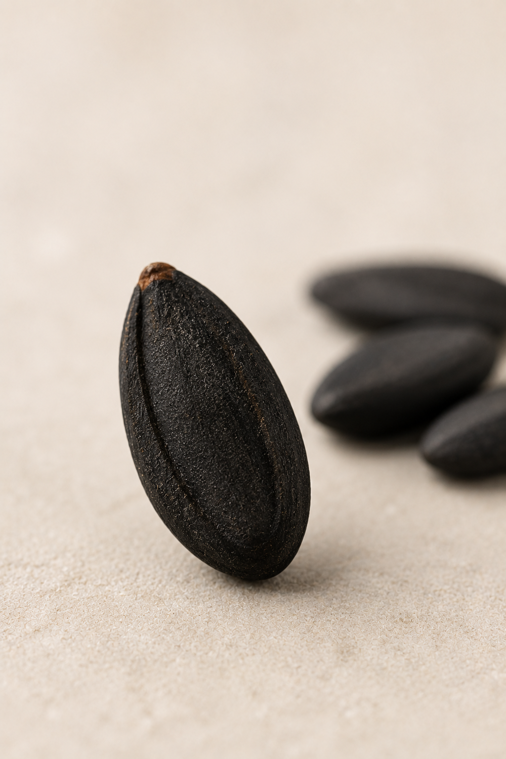 S&eacute;samo Negro