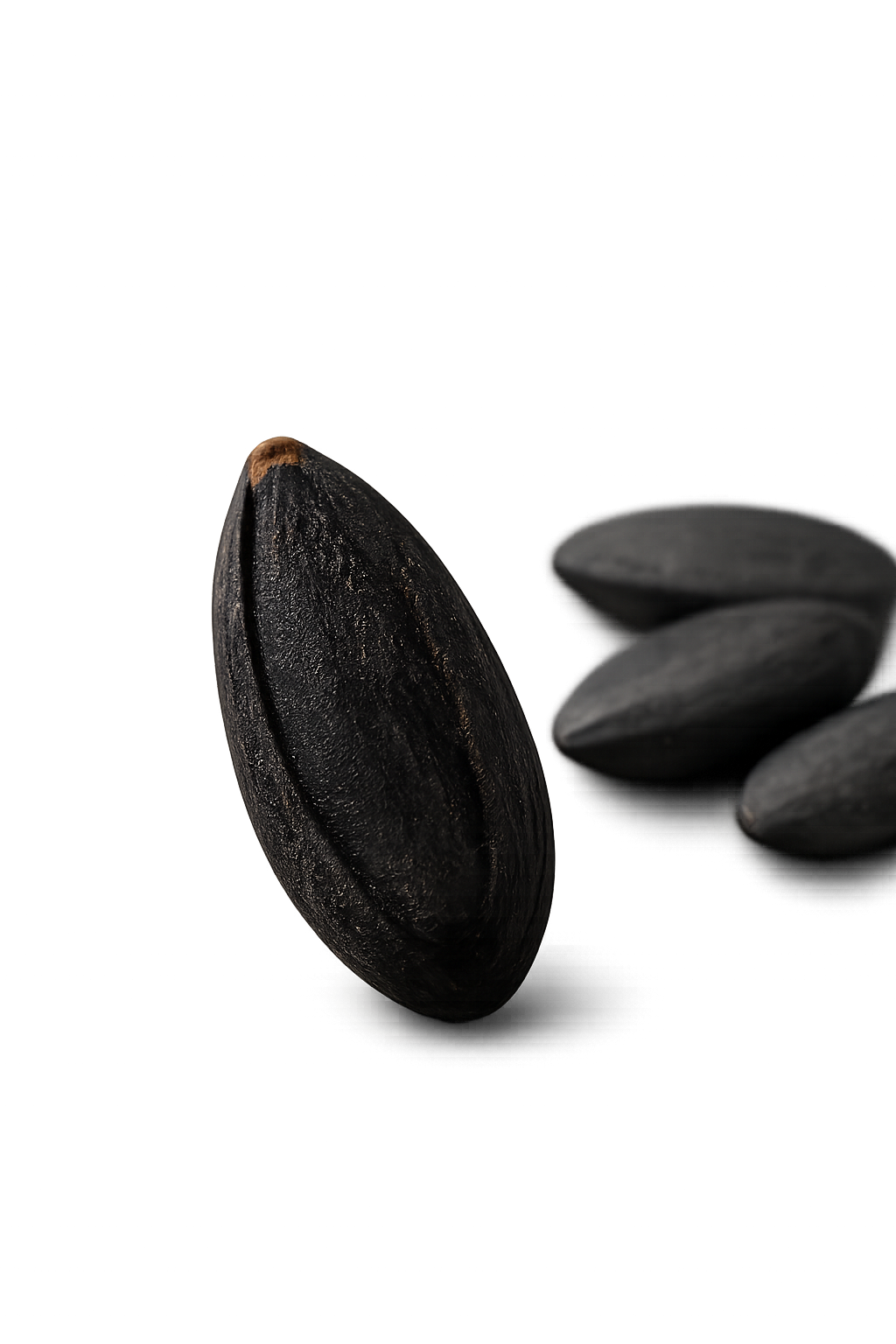 Sésamo Negro