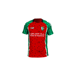 CAMISETA CONMEMORATIVA ADULTO 2025