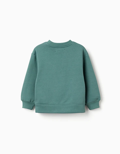 LS SWEATER FLEECE BRUSHED - LIGHT MOSS GREEN
