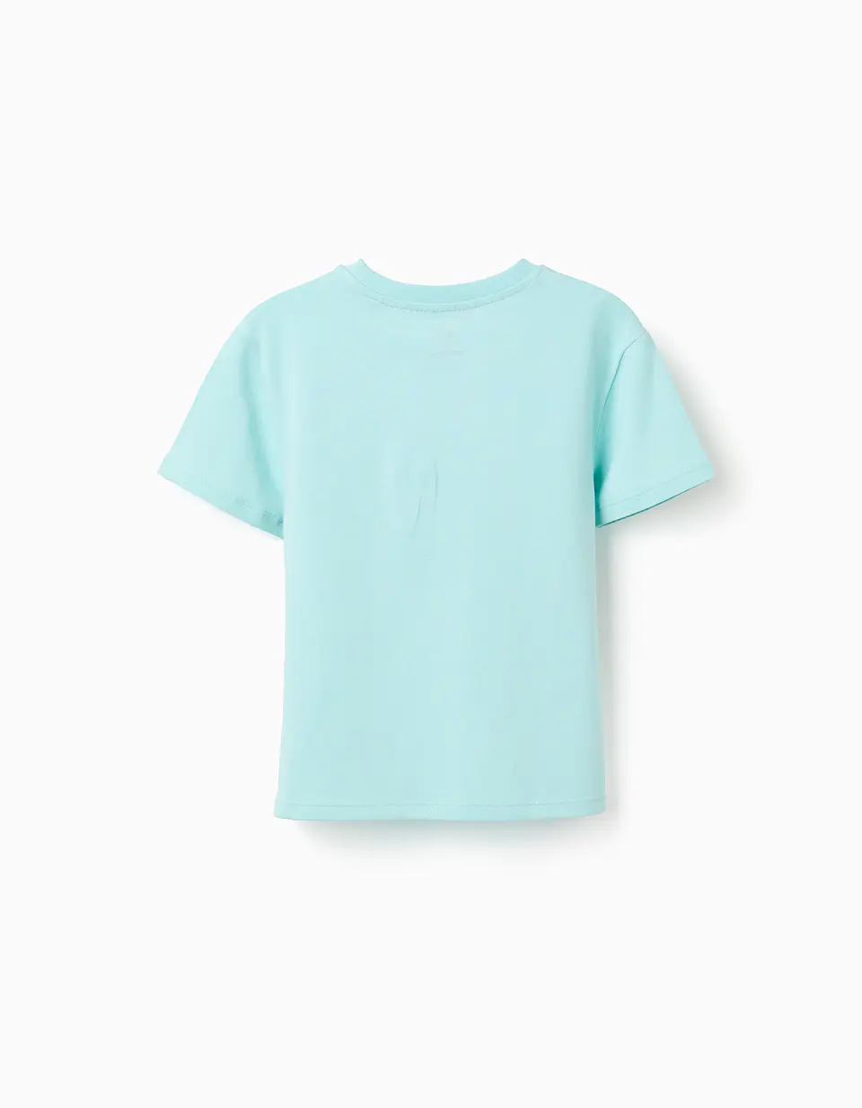 SS TSHIRT CO Azul 2