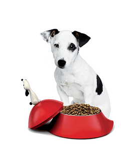 LULA DOG BOWL R