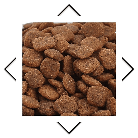 Croquetas Members Mark Exceed Cordero y Arroz 20 kg