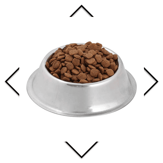 Alimento para perro Croquetas Members Mark Exceed Cordero y Arroz 20 kg