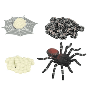 Ciclo de la vida de la araña