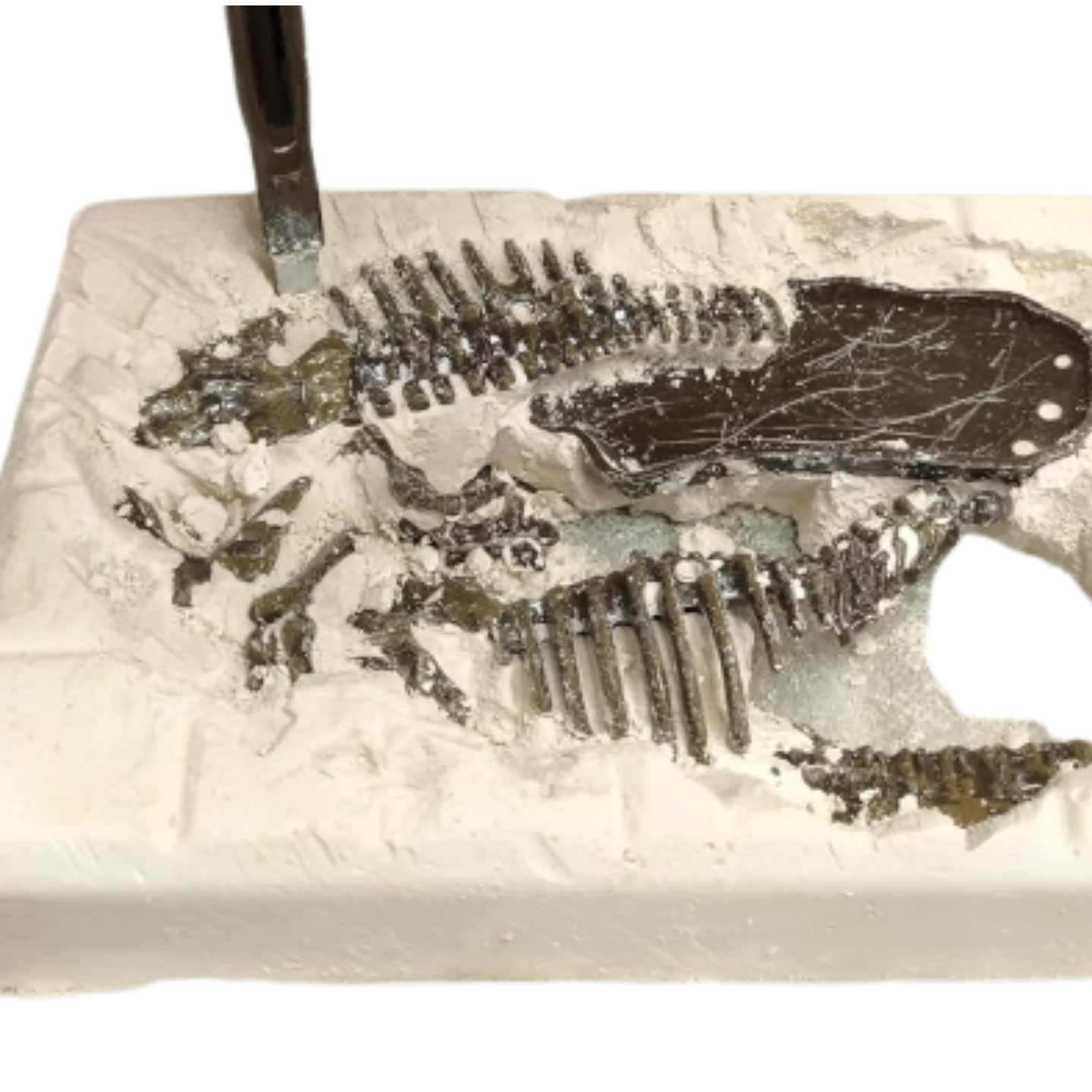 Juegos de rol: Paleontólogos TYRANNOSAURUS REX 2