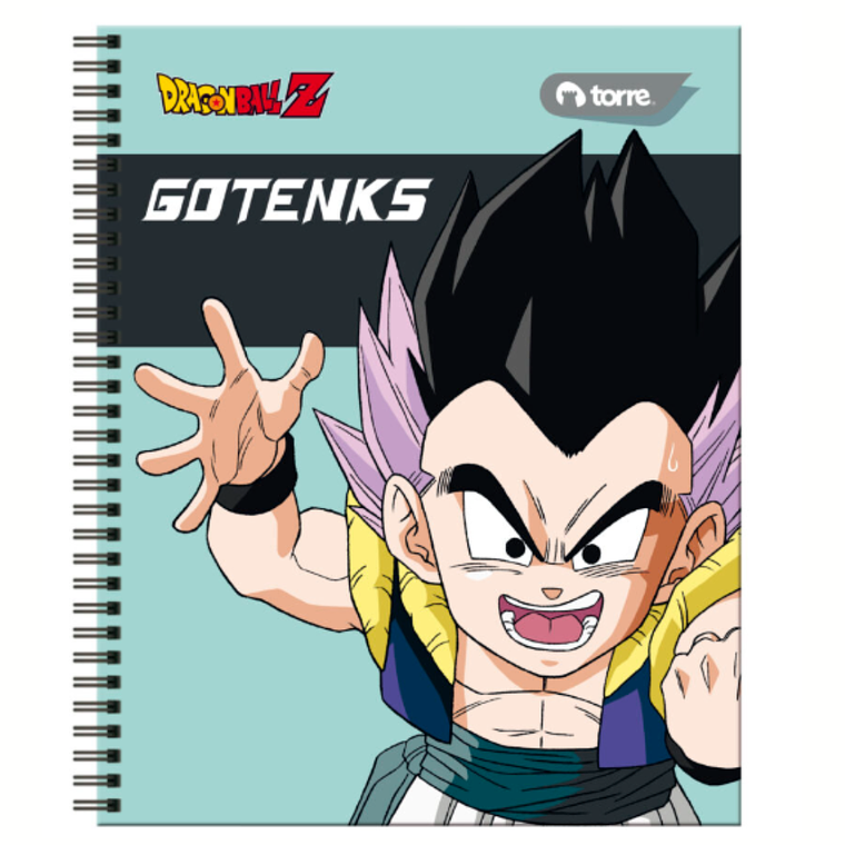 Cuaderno Univ. 100 Hojas 6