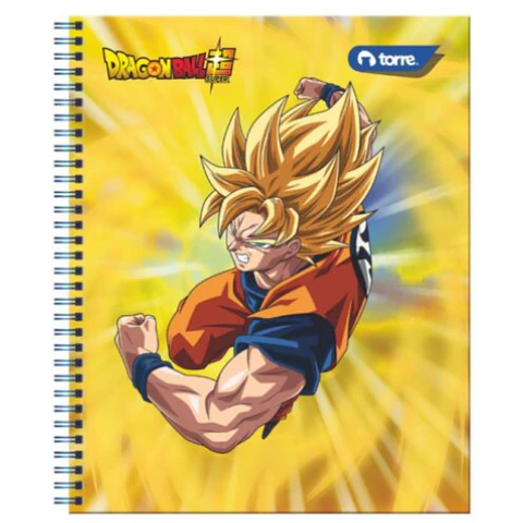 Cuaderno Univ. 100 Hojas