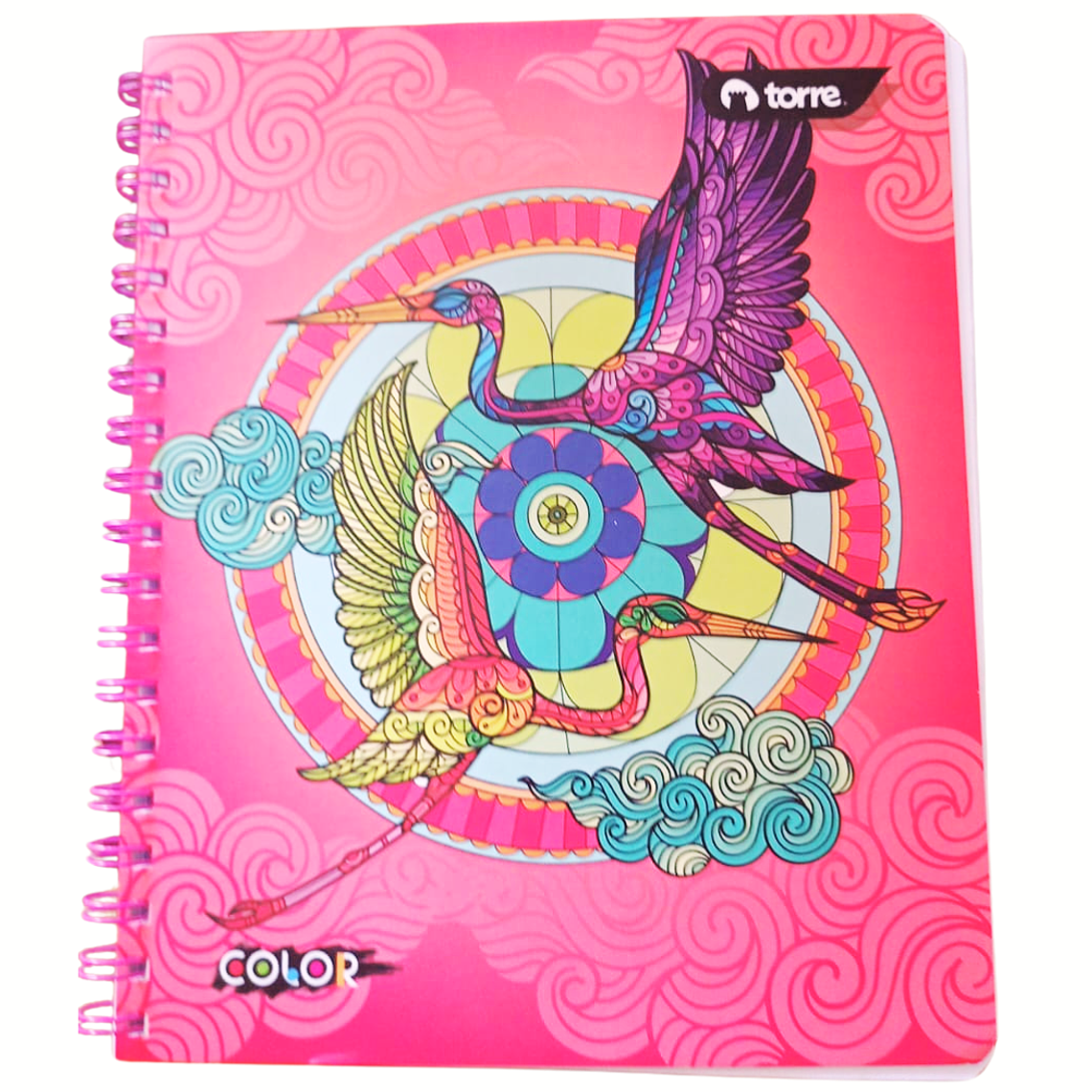 Cuaderno Univ. 100 Hojas 4