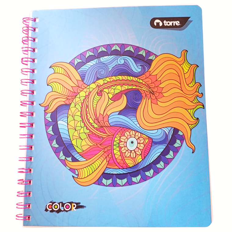 Cuaderno Univ. 100 Hojas 5