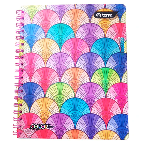Cuaderno Univ. 100 Hojas