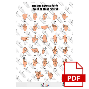 Vocabulario básico Señas Chilena PDF