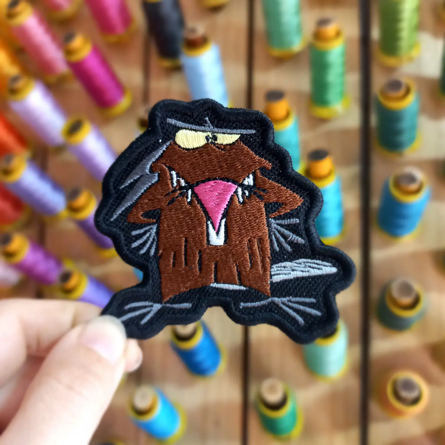 Daggett Beaver 1