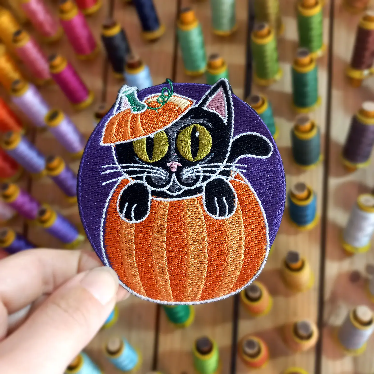 Gato en calabaza 1
