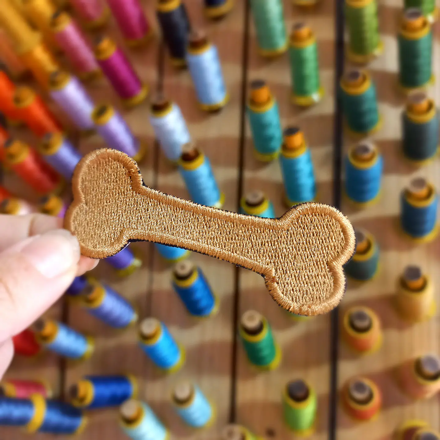 Hueso de perro 1