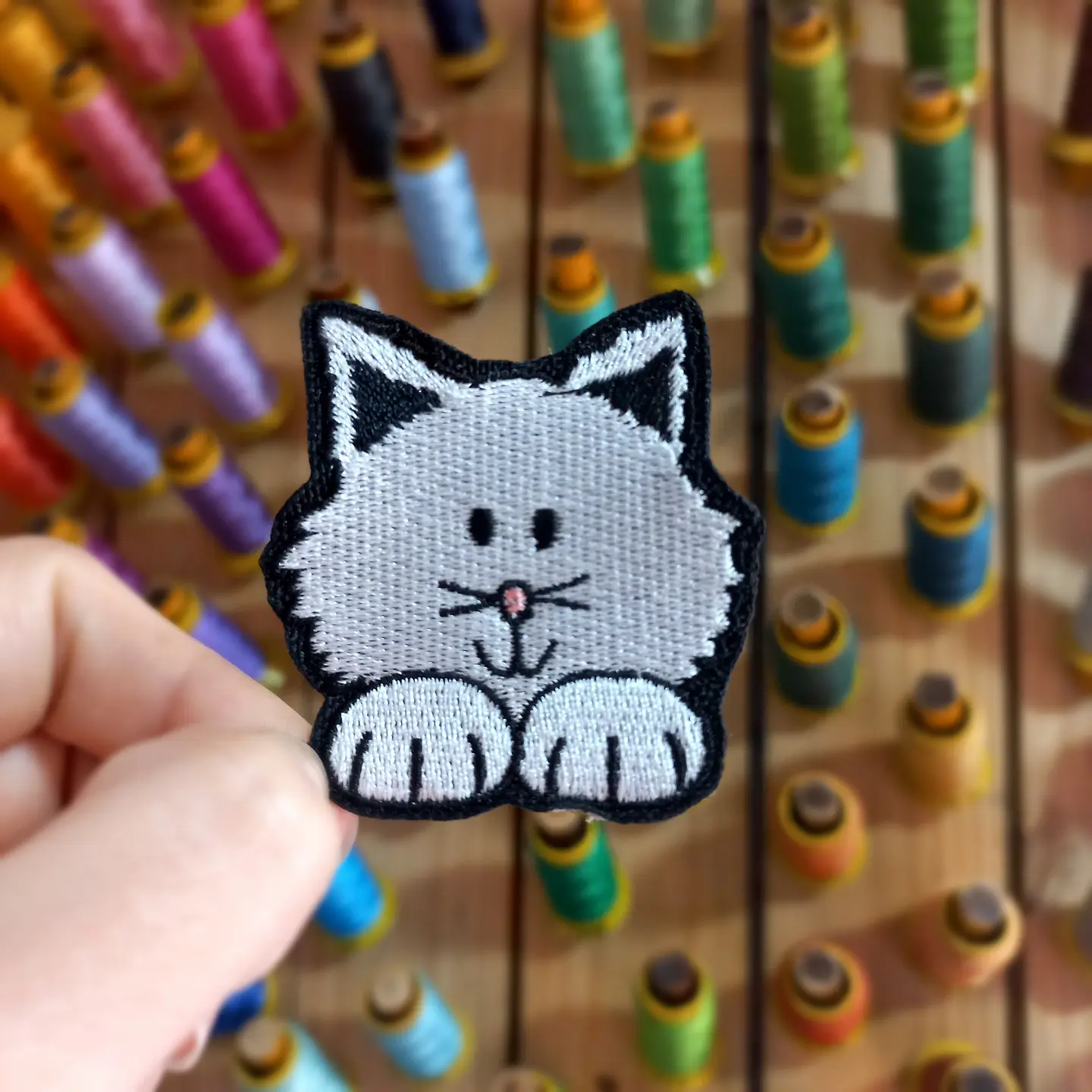 Gato 1