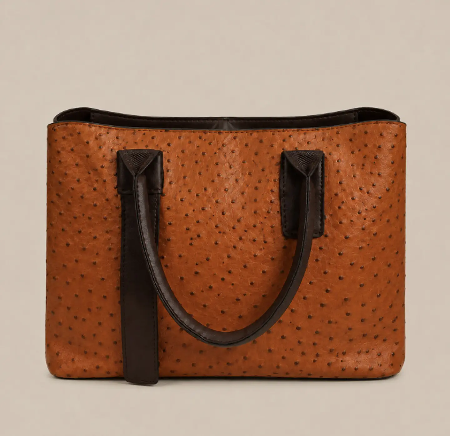 Cartera Niza 1