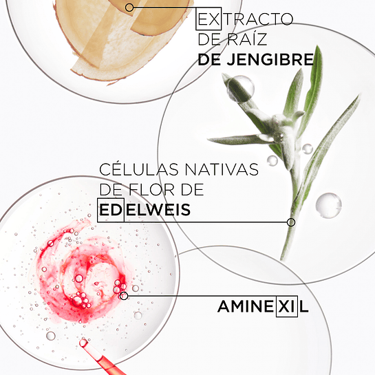 BELOVED GENESIS BAIN+ ELIXIR 50ML 5