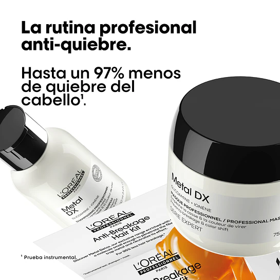 Pack Metal Detox Mini Duo L'Oréal Professionnel 2